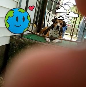 Meet your Posher, Linda